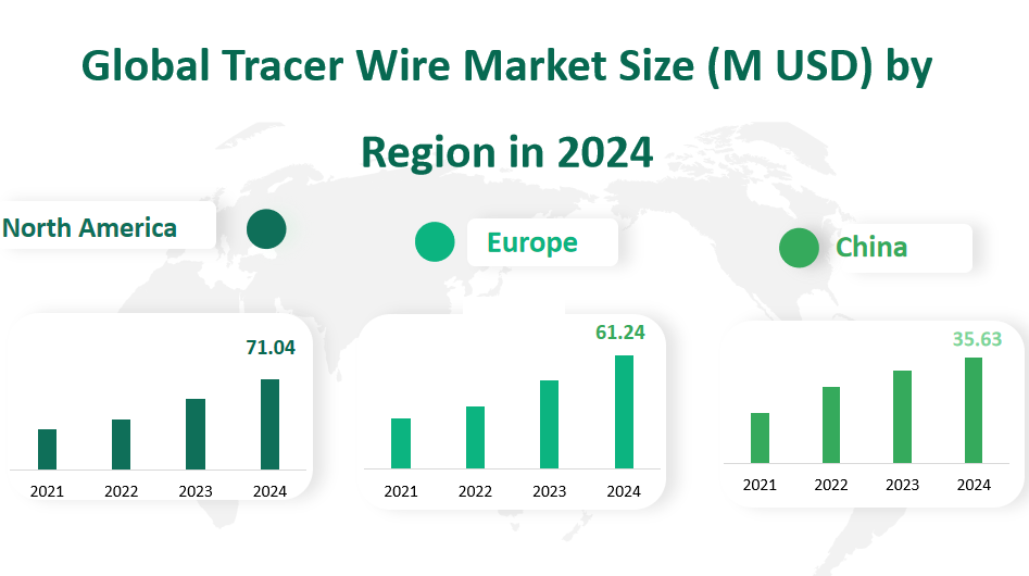 Global Tracer Wire Market Revenue and Share Insights by Type, Application, Region and Player from 2024 to 2033 2 Tracer Wire Market