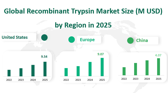 Global Recombinant Trypsin Market Revenue and Share Insights by Type, Application, Region and Player from 2025 to 2033 2 Recombinant Trypsin Market