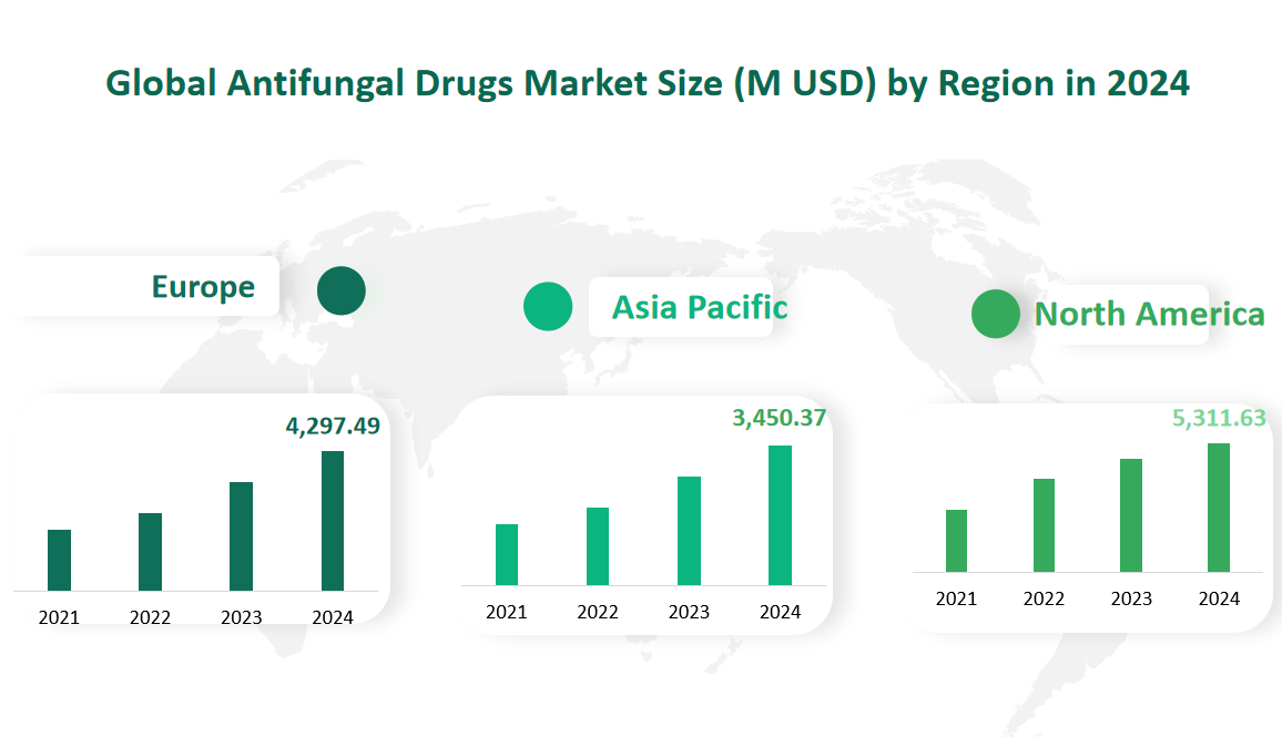 Antifungal Drugs Market Size, Growth Trends & Insights Analysis Report by Type (Azoles, Echinocandins, Polyenes, Allyamines), by Application (Dermatophytosis, Aspergillosis, Candidiasis, Others), by Region, and Competitive Landscape Forecasts, 2024-2033 2 Global Antifungal Drugs Market Size by Region in 2024