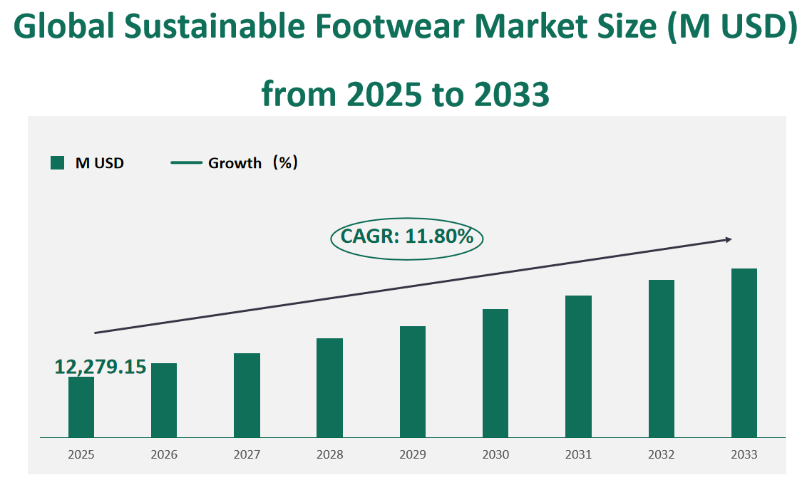 Global Sustainable Footwear Market Revenue and Share Insights by Type, Application, Region and Player from 2025 to 2033 1 Sustainable Footwear Market