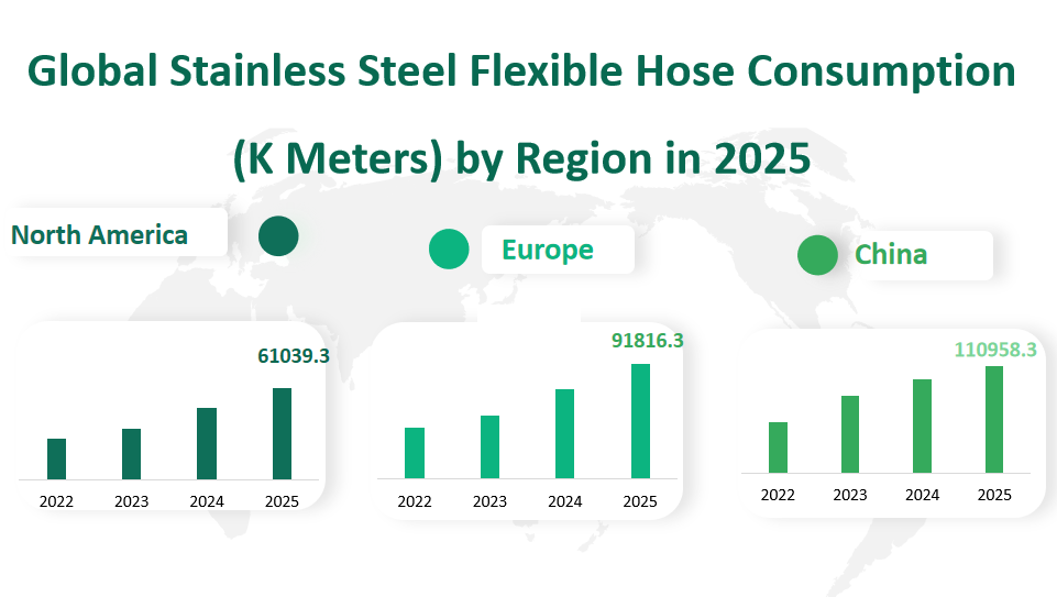 Global Stainless Steel Flexible Hose Market Revenue and Share Insights by Type, Application, Region and Player from 2025 to 2033 2 Stainless Steel Flexible Hose
