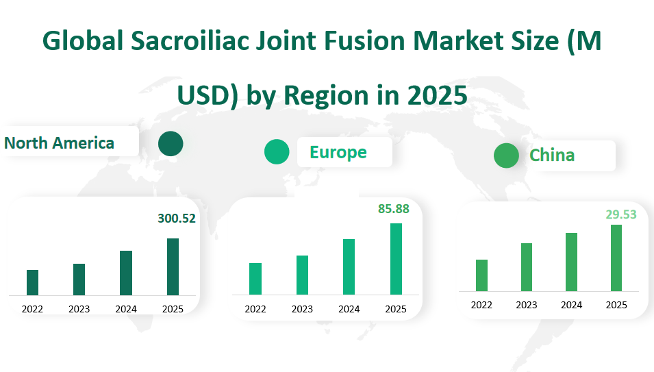 Global Sacroiliac Joint Fusion Market Revenue and Share Insights by Type, Application, Region and Player from 2025 to 2033 2 Sacroiliac Joint Fusion Market