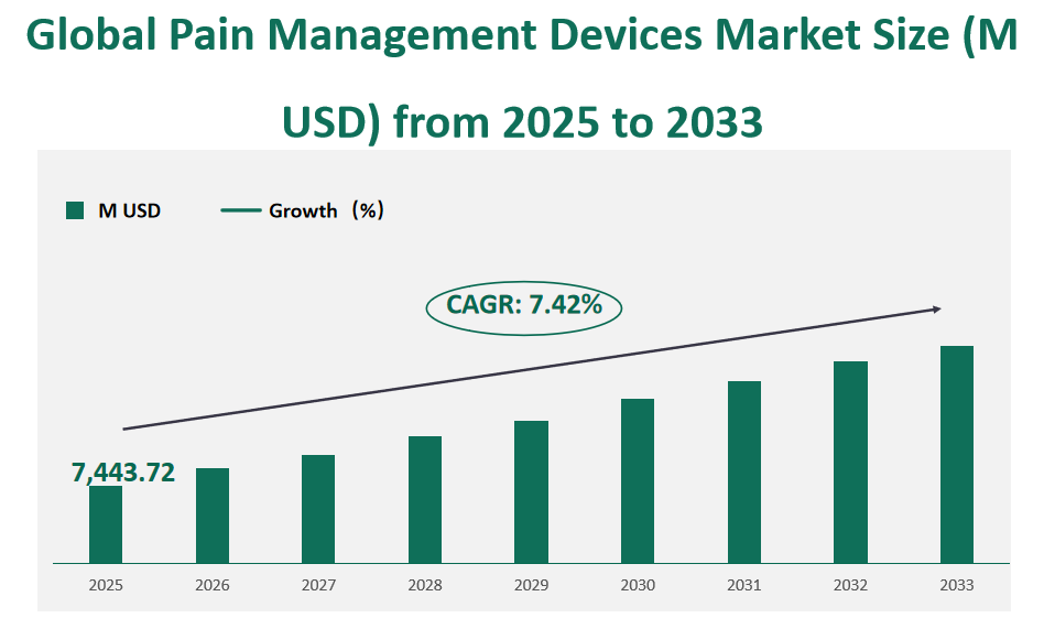Global Pain Management Devices Market Revenue and Share Insights by Type, Application, Region and Player from 2025 to 2033 1 Pain Management Devices Market